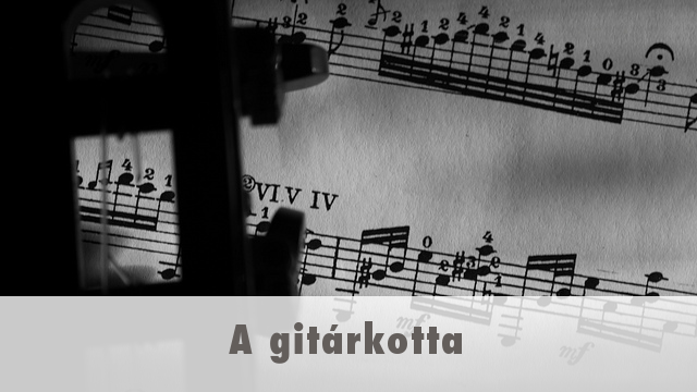 A gitárkotta